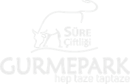 logo 6